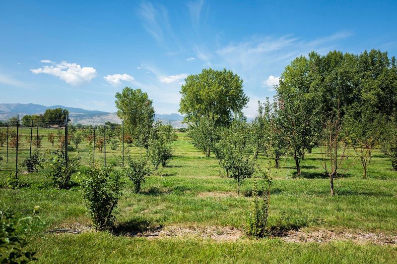 Eight Acres Give The Visit Its Shape
