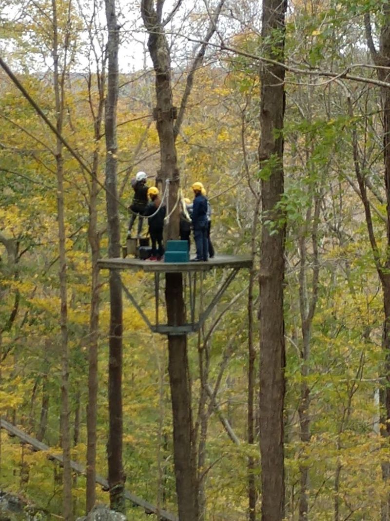 High Above The Forest And Bluffs