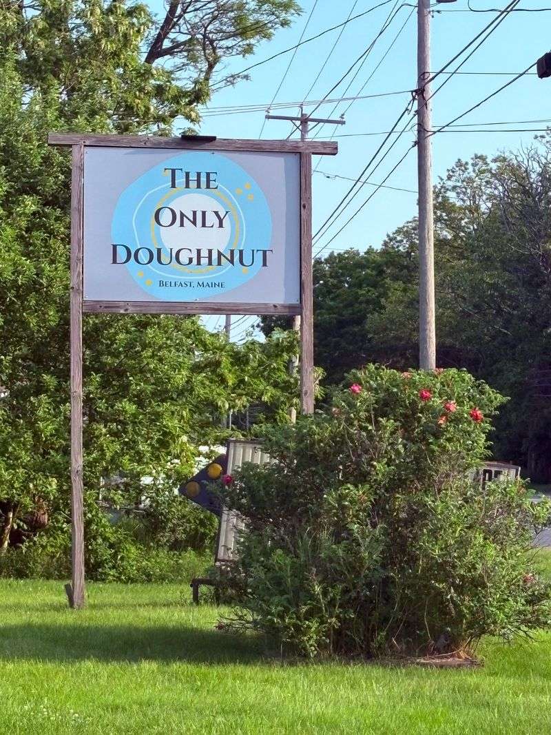 The Only Doughnut – Belfast, Maine