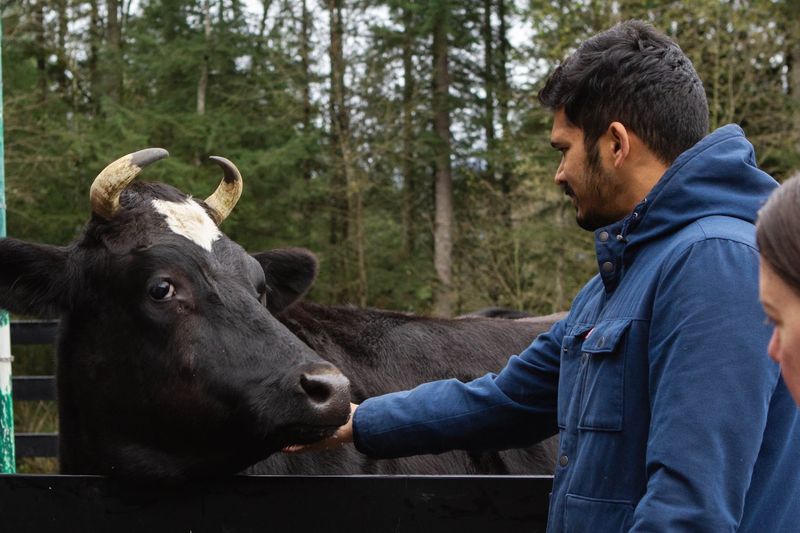 Eighty Acres of Second Chances in Kittitas County