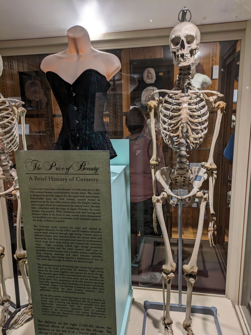 The Soap Lady Defies Decomposition