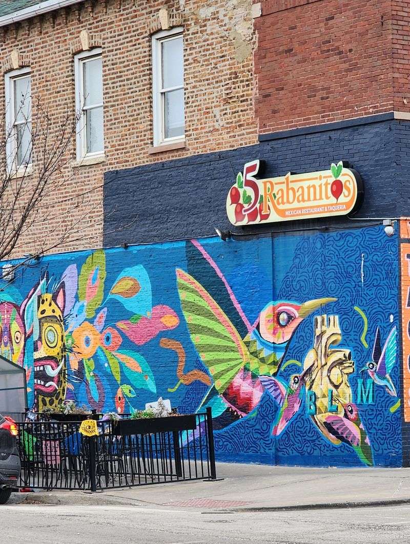 5 Rabanitos – Chicago