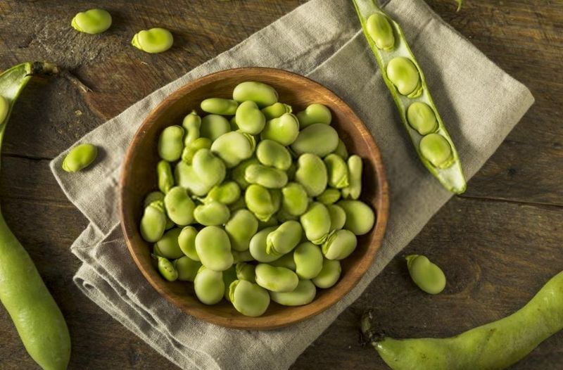 Fava Beans: Enzyme-Lacking Danger