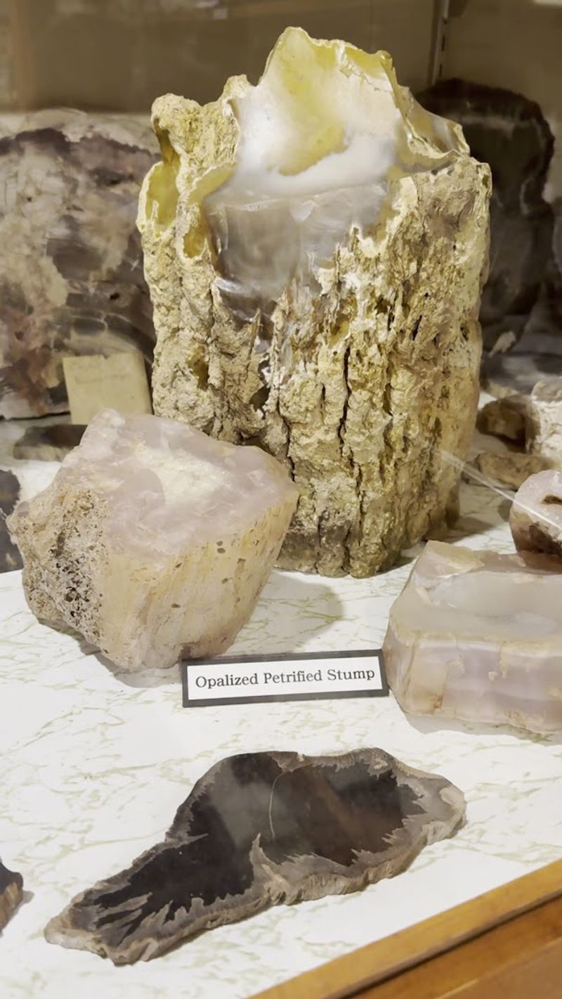 Funk Prairie Home & Gem and Mineral Museum, Shirley