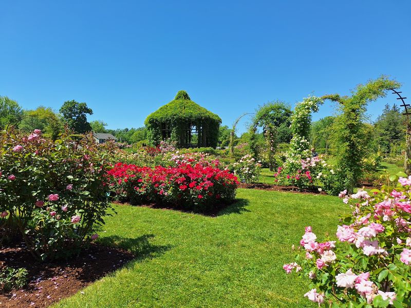 Elizabeth Park