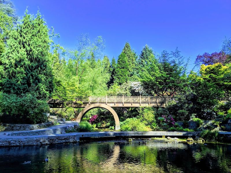 Crystal Springs Rhododendron Garden