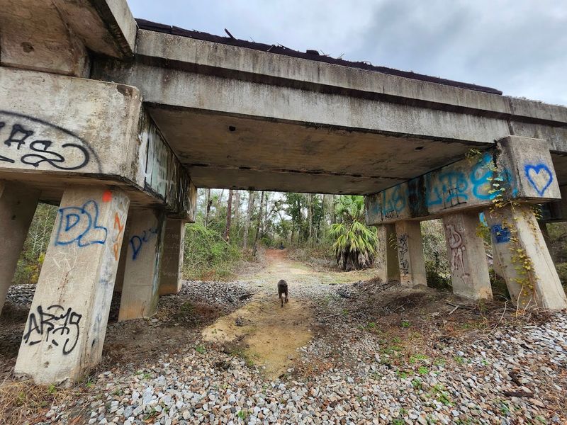 The Bridge That Frames The Past