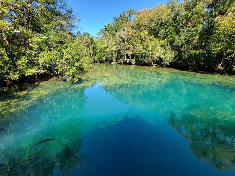 Ellie Schiller Homosassa Springs Wildlife State Park