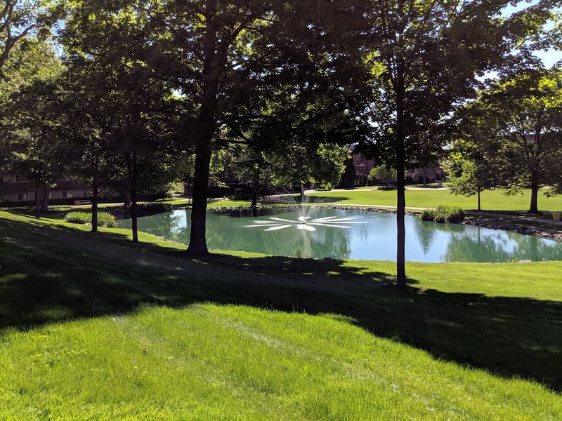 Elmira