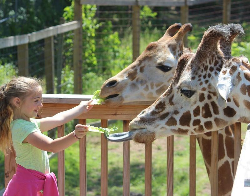 Elmwood Park Zoo, Norristown, Pennsylvania