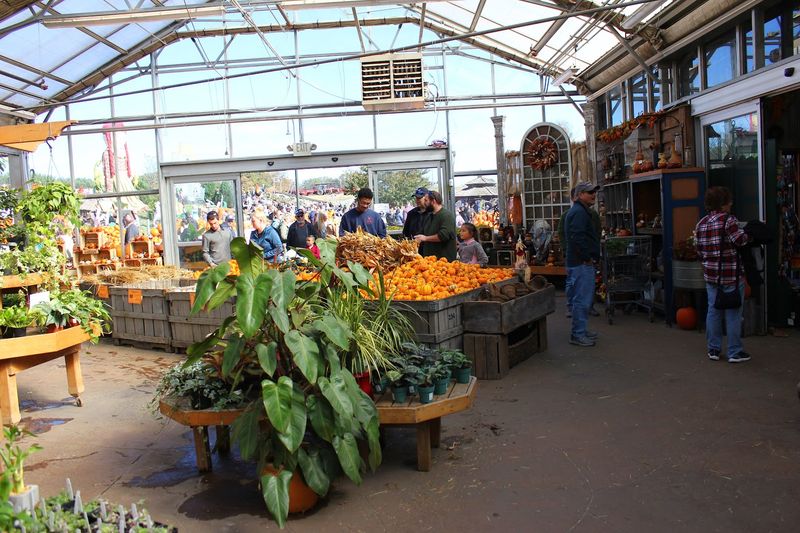 Linvilla Orchards, Media, Pennsylvania