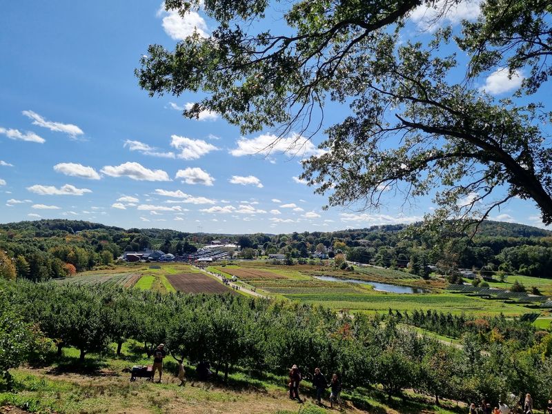 Embark On A Delightful Apple Picking Journey Through Five Orchards