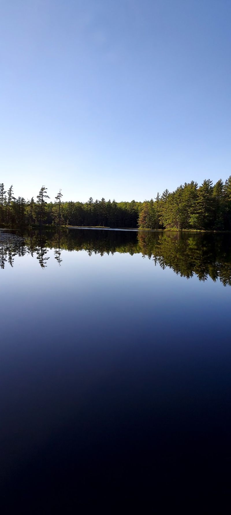 Emily Lake State Forest Campground Emily Lake State Forest Campground