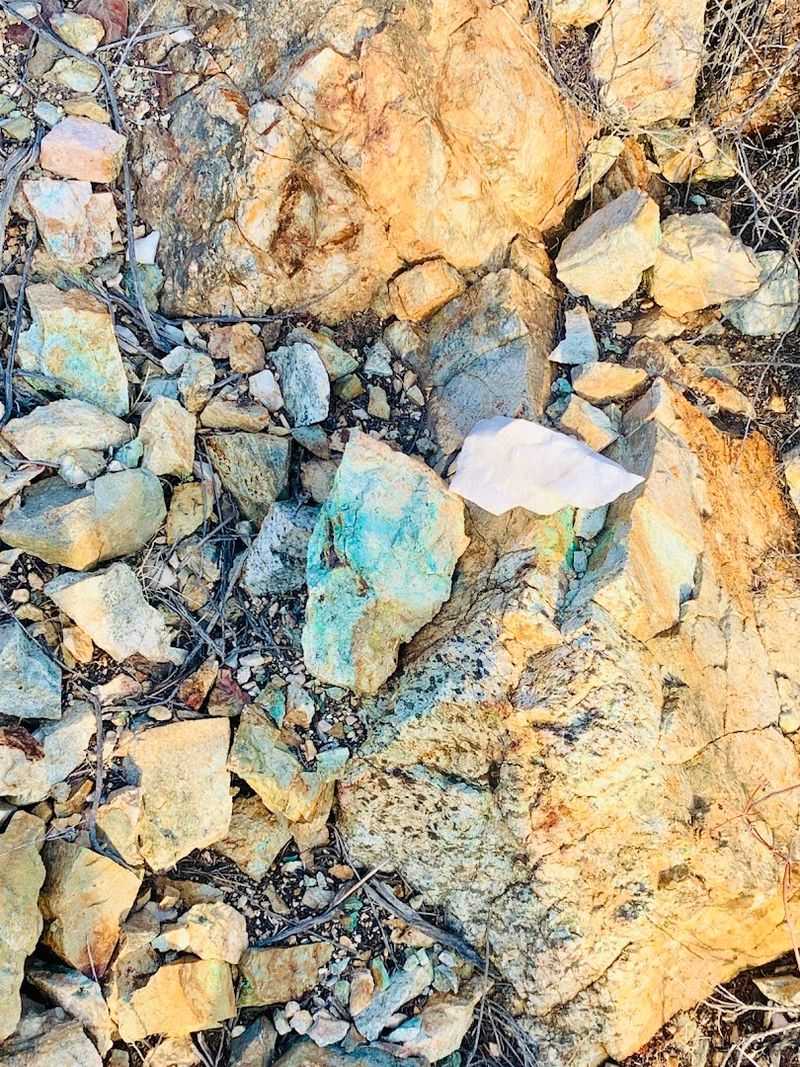 Emma Mine Road and Lime Creek Area