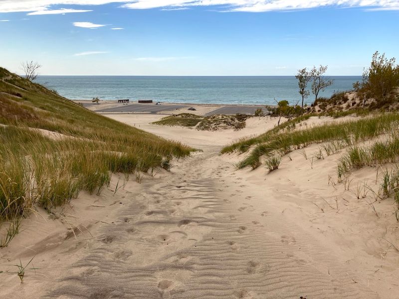 Warren Dunes Nature Study Area, Sawyer
