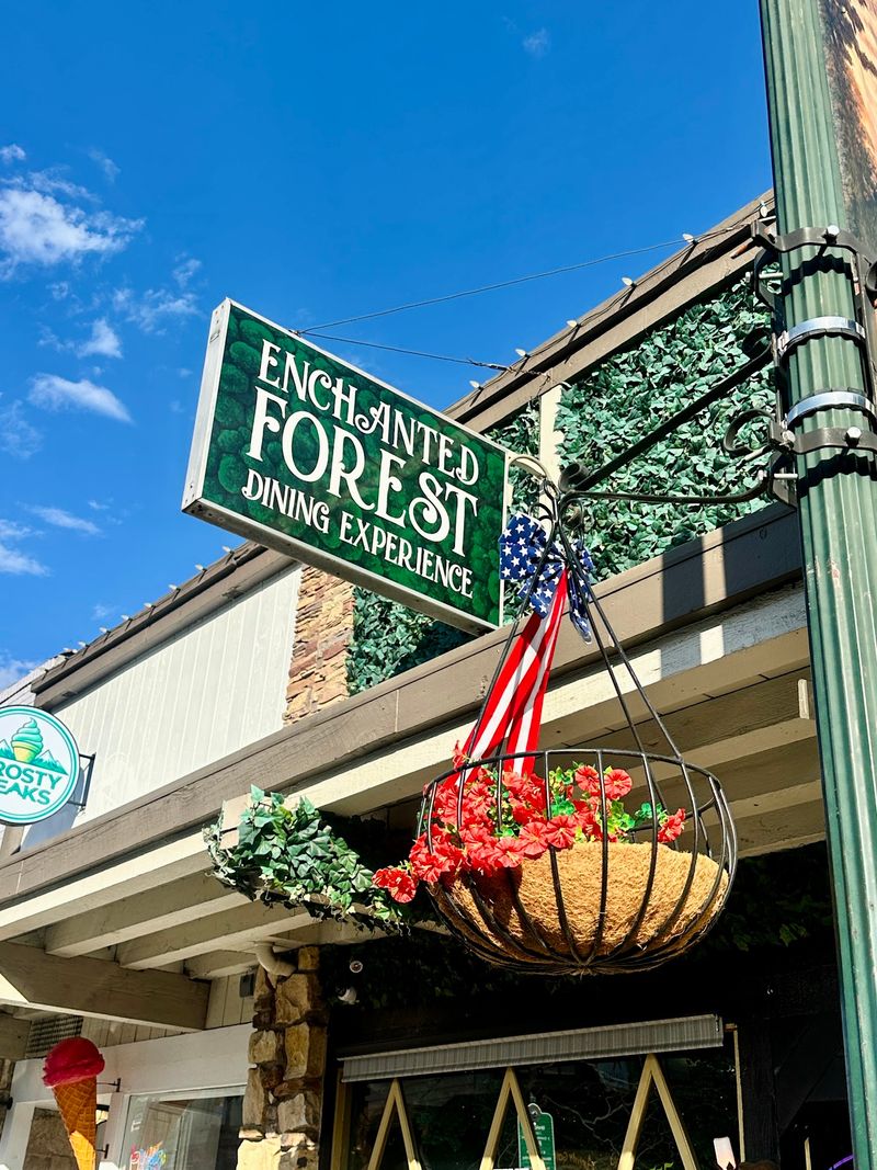 Enchanted Forest Dining Experience