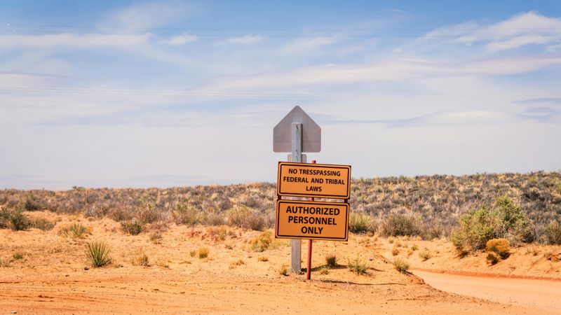 Saguaro Cactus Landscapes You Cannot See Anywhere Else On Earth