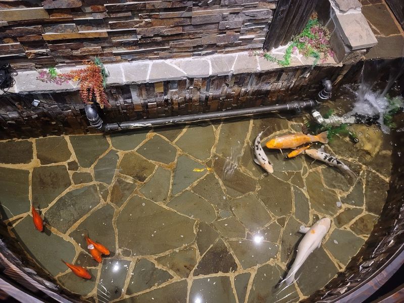 A Waterfall Welcome You Did Not See Coming