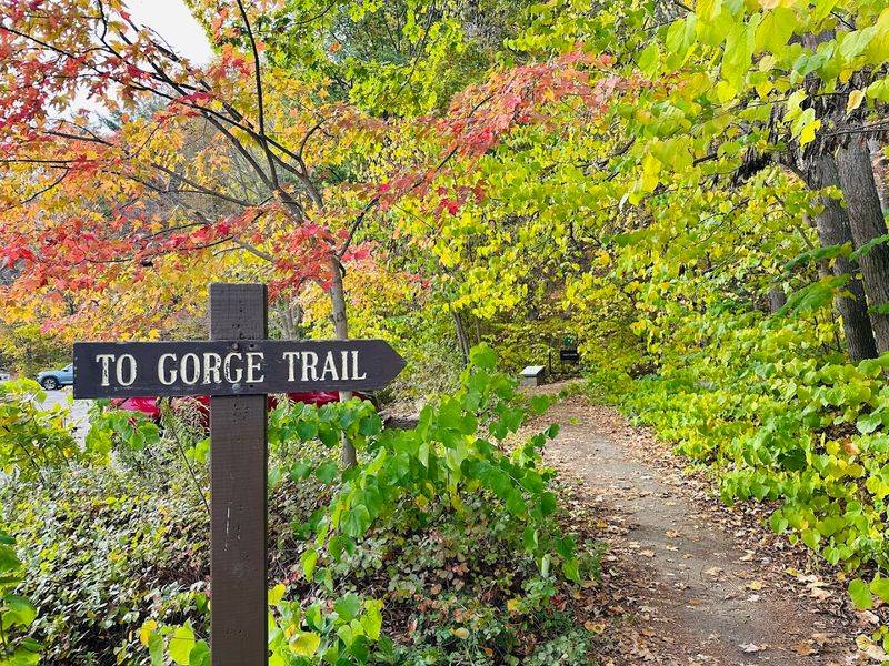 Enfield Glen And The Address You Need To Save Right Now