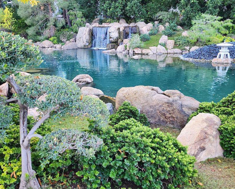 Chanoyu At Japanese Friendship Garden Of Phoenix