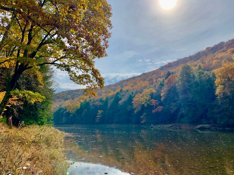 Clarion River (Cook Forest area)