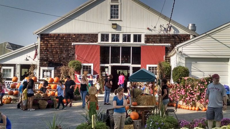 Enjoy Lively Fall Weekends With Live Music and Food Trucks
