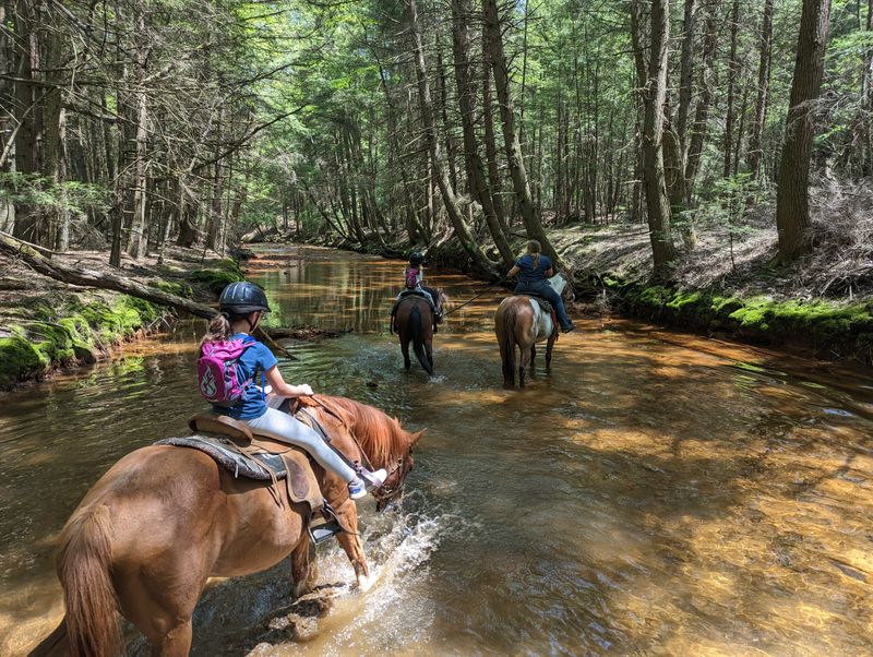 The Location Puts You Right in Pennsylvania's Natural Wonder