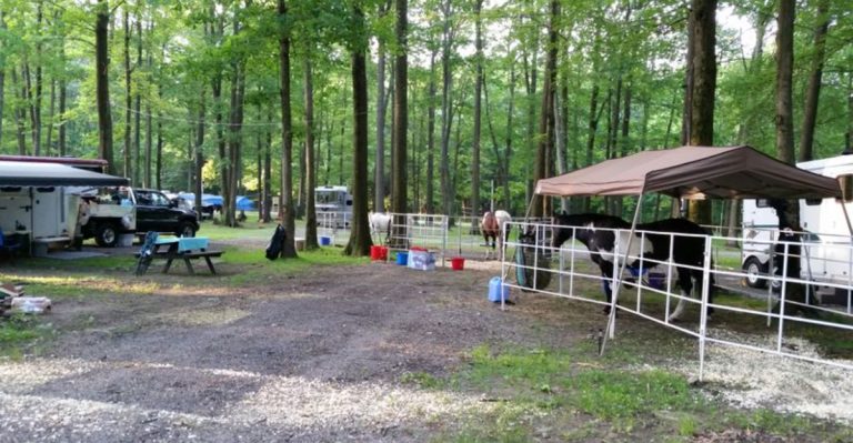 Enjoy Some Of The Most Scenic Views in Pennsylvania On This Horseback Ride