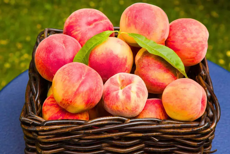 Palisade Peach Snow Cone: Summer's Perfect Treat