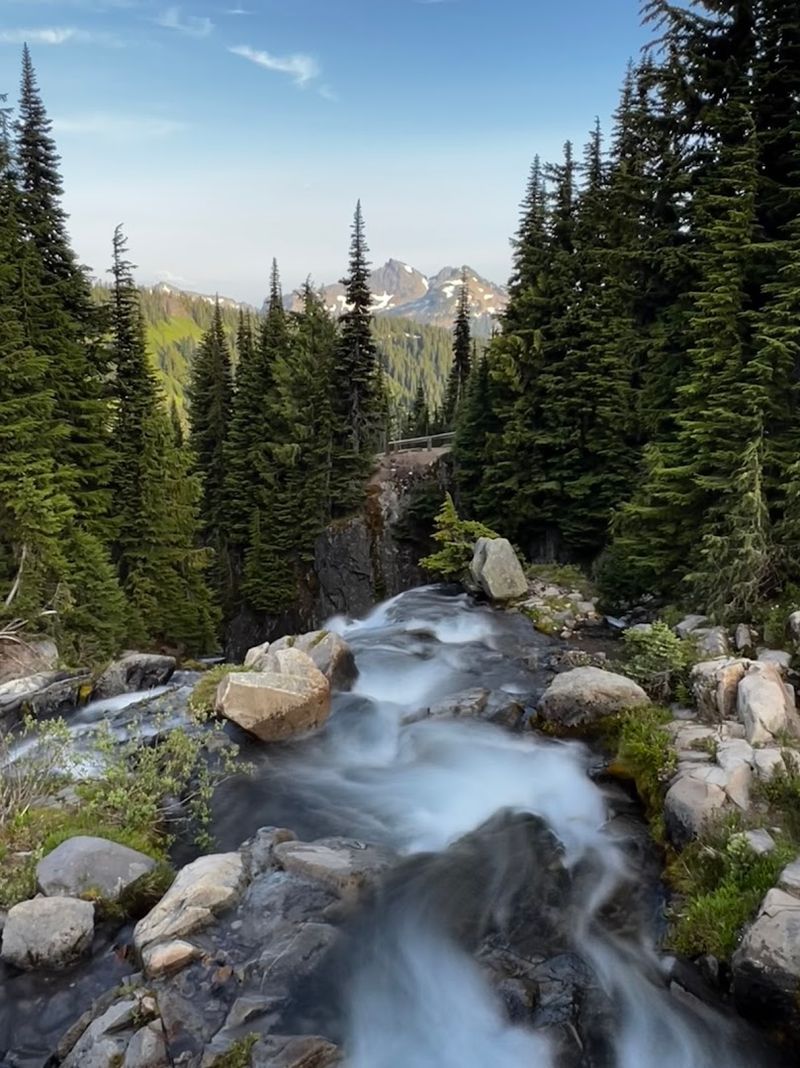 Waterfalls Hidden In The Forest On Either Side