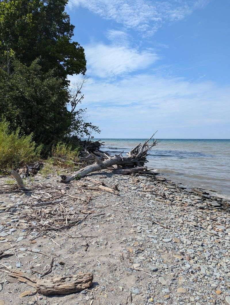 Erie Bluffs State Park, Lake City Erie Bluffs State Park, Lake City
