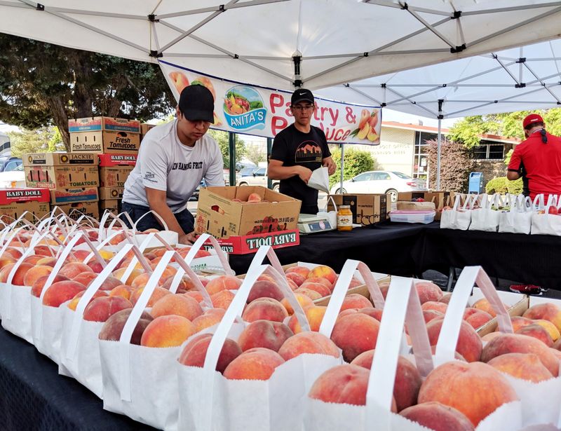 Palisade Farmers Market