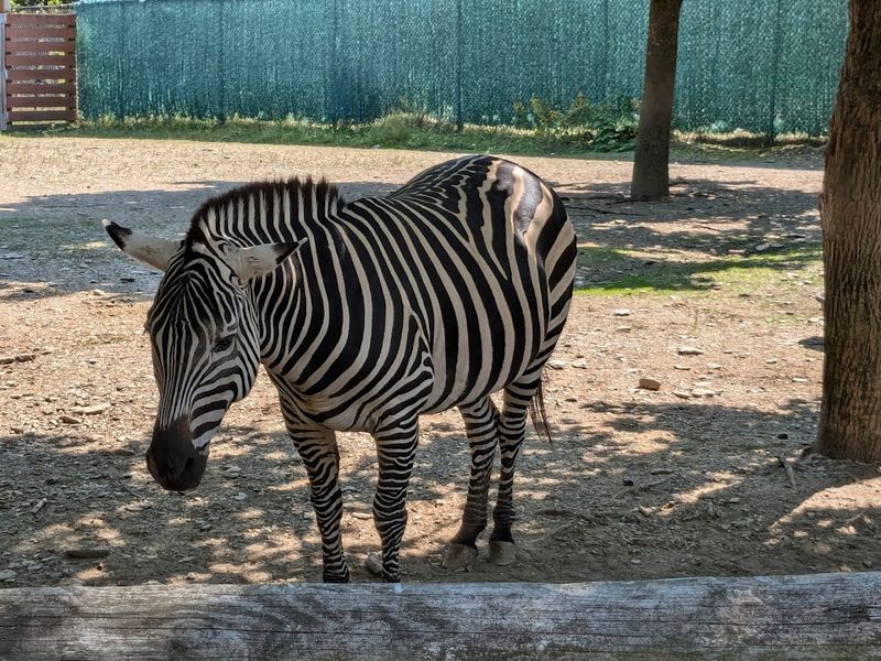 Lehigh Valley Zoo, Schnecksville