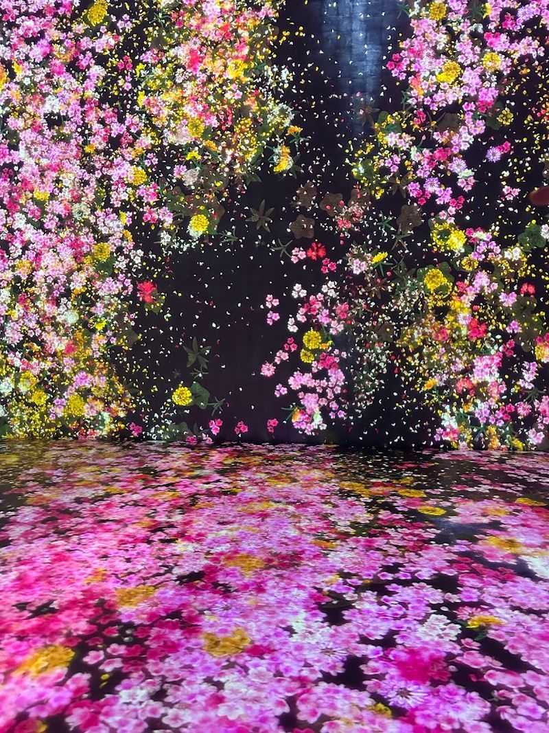 The Massless Clouds Exhibit And Why It Sparks Such Strong Opinions