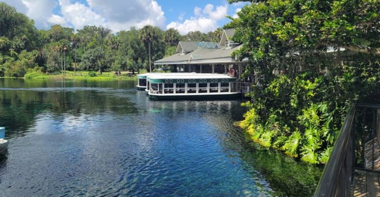 Escape The City And Sail Over Crystal-Clear Water On This Breathtaking Florida Boat Ride