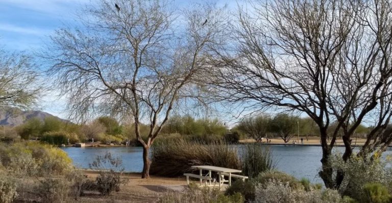 Escape The City And See Why This Chandler, Arizona Nature Center Feels Like A Desert Oasis