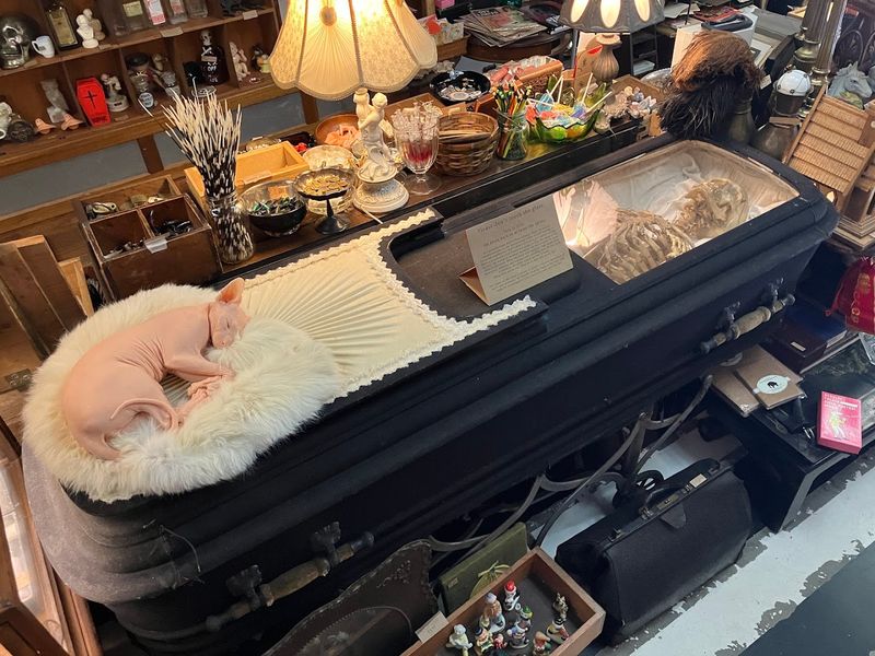 The Morbid Market Events That Bring The Community Together