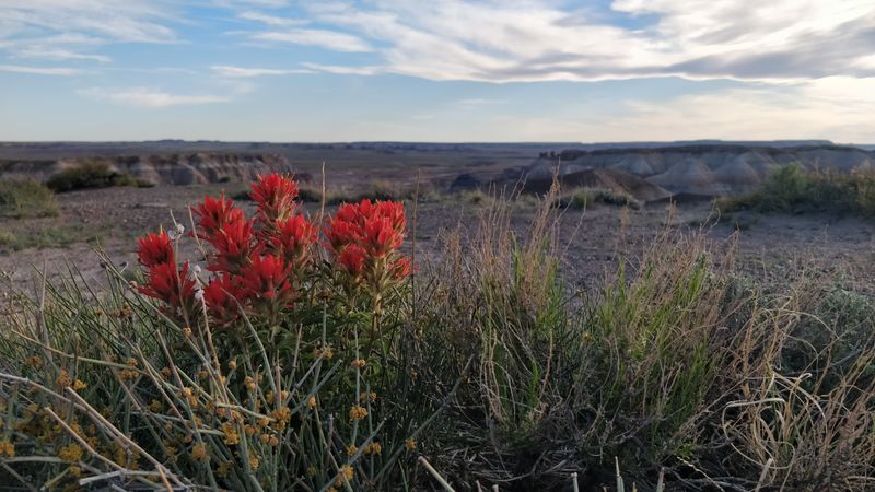 Why This Trail Stands Apart