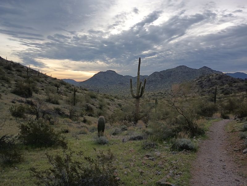 Estrella Wayside Primitive Campsites, Sonoran Desert National Monument