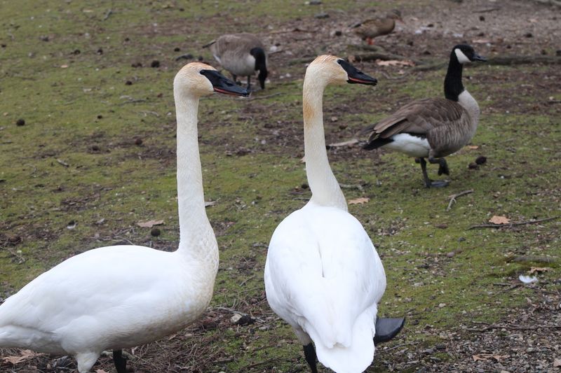 Seasonal Programs, Small Joys, And Returning Often