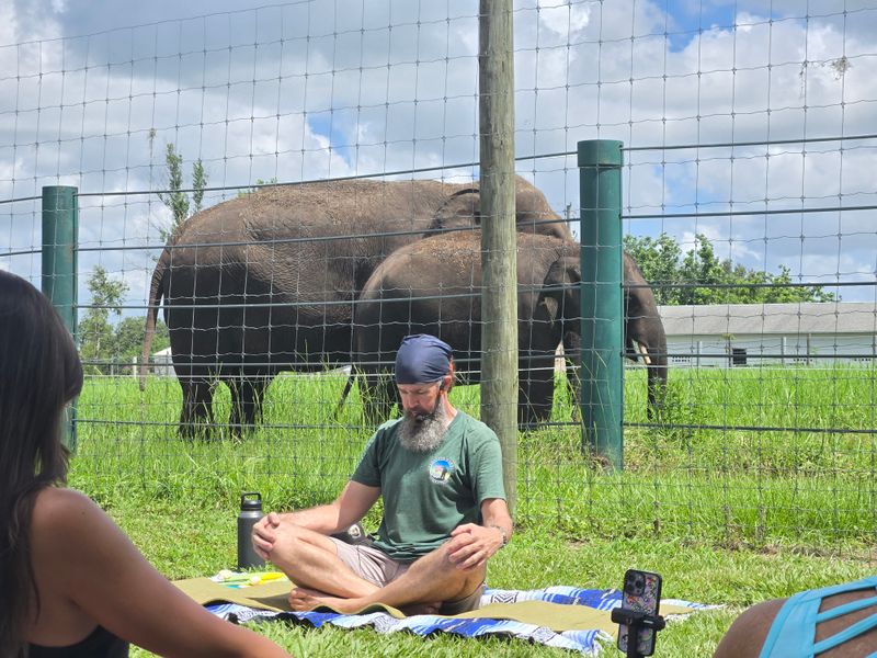 Yoga By The Paddock: Stretch, Breathe, Listen