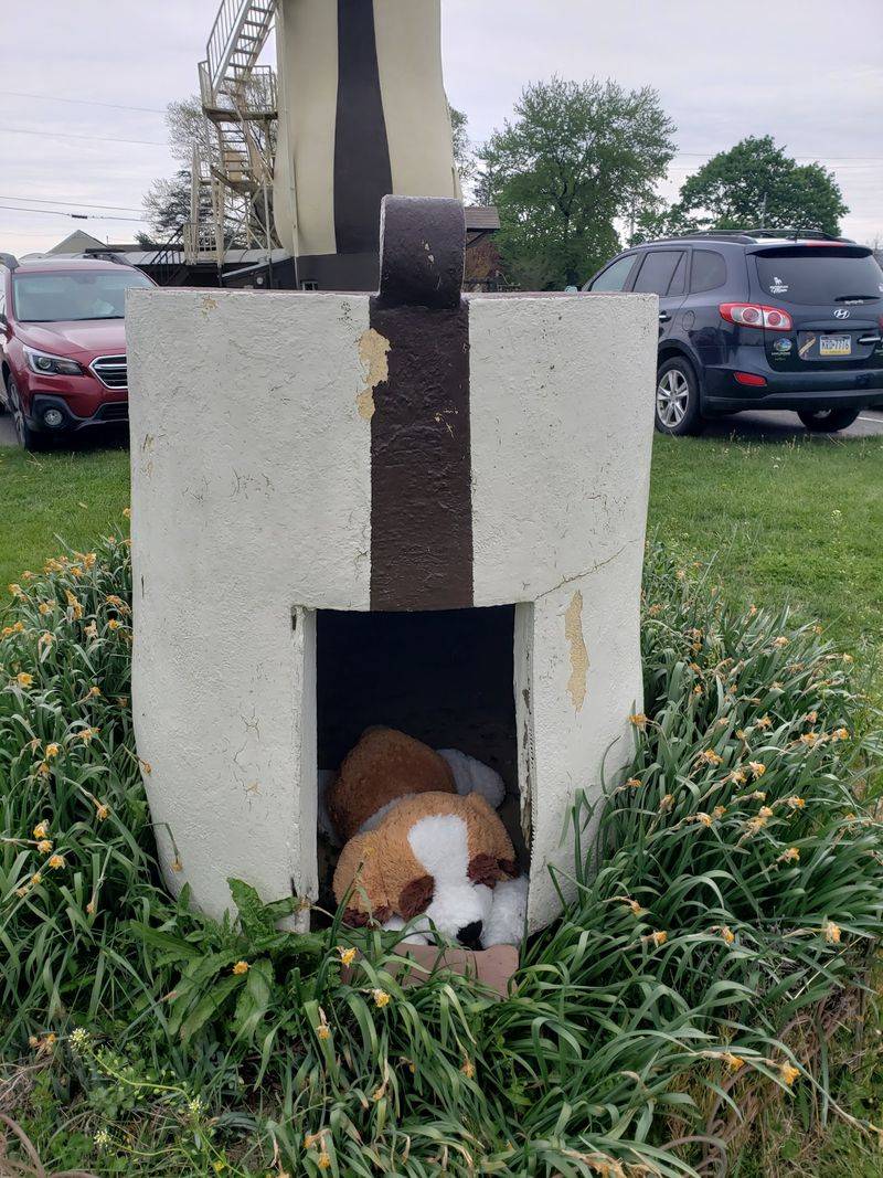 Even The Dog Got A Matching House