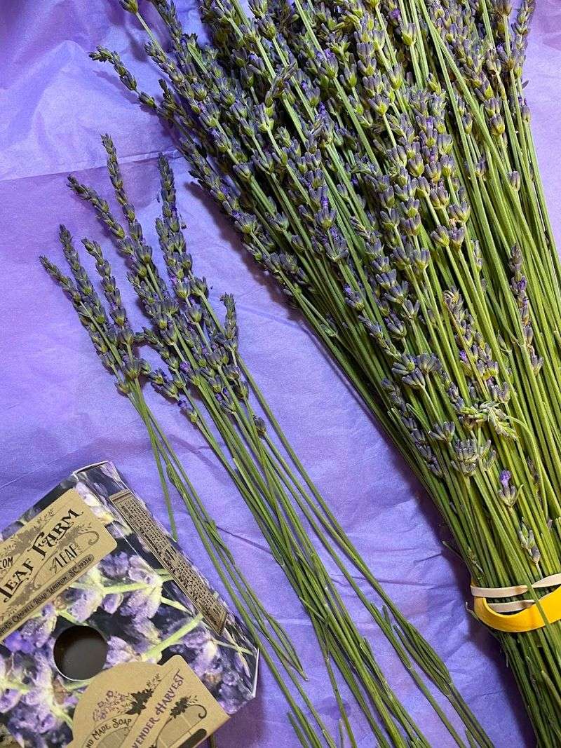 A Place That Makes You Want To Return