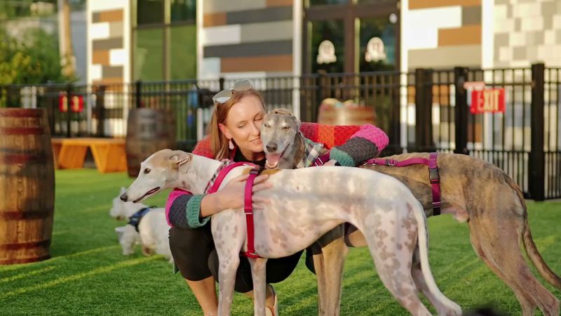 Grooming Services Add Extra Value To Every Visit