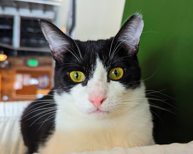 Final Verdict: The Kind of Place Worth the Drive