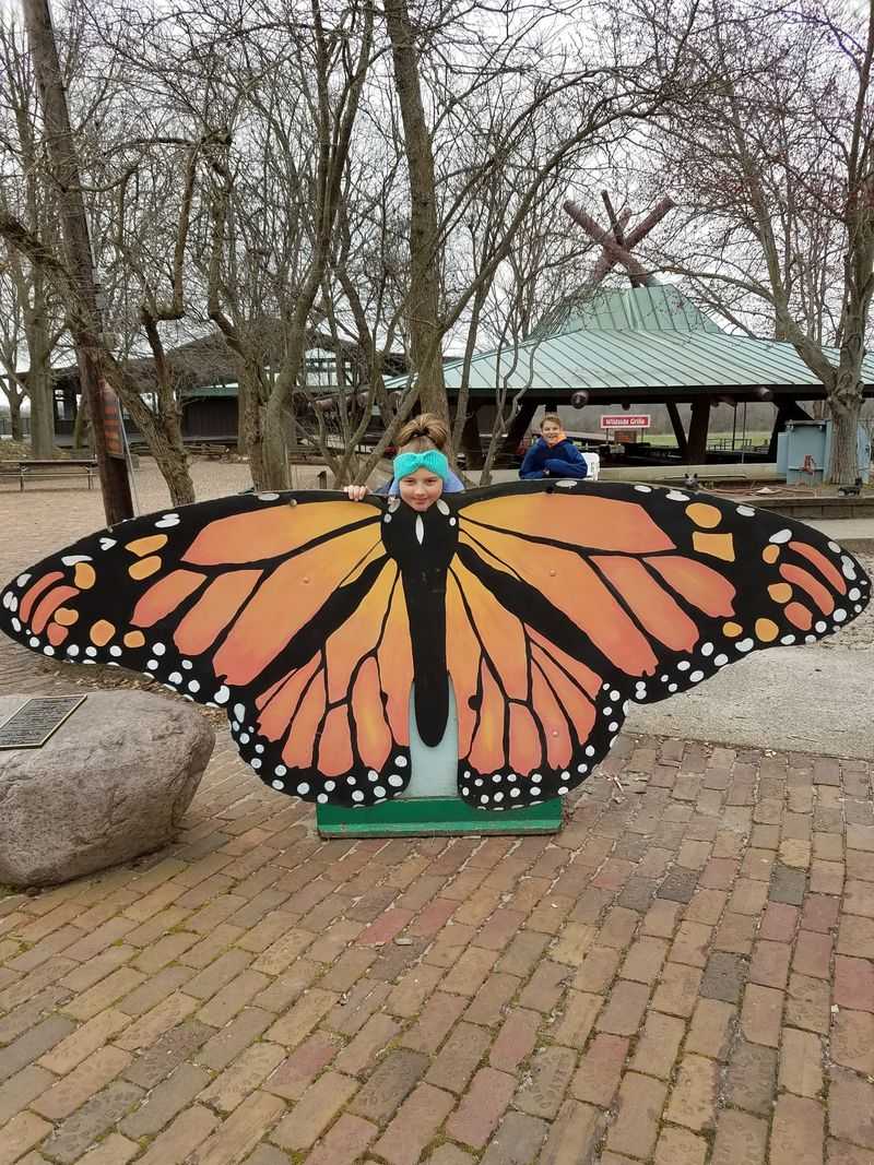 Kid Joy: Playgrounds, Programs, And Easy Wins