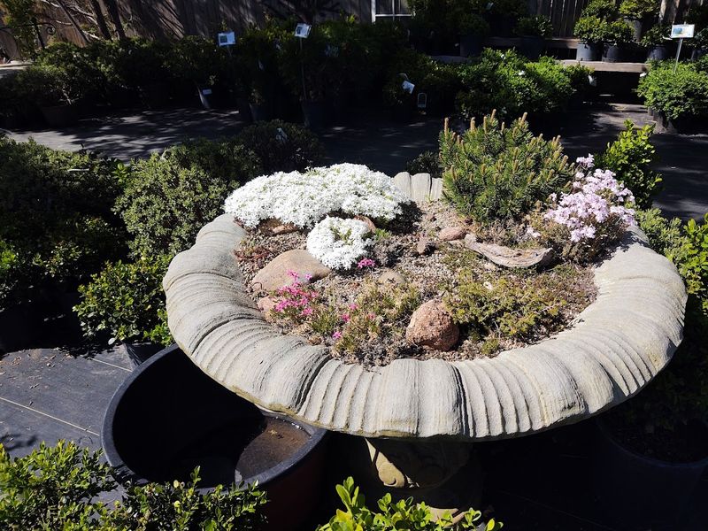 The Outdoor Section and Butterfly Habitat Worth Wandering Through