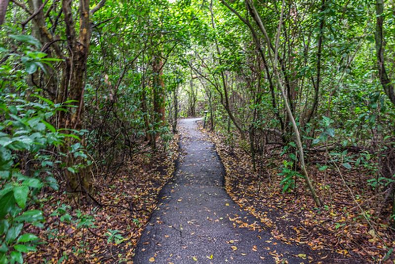Everglades National Park