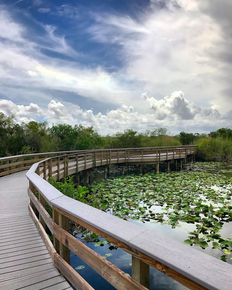 Everglades National Park Region, Homestead