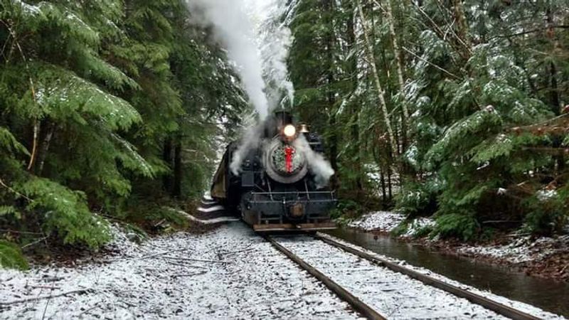 Evergreen Miles Through the Washington Woods